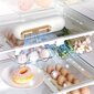 Ledusskapja smaku noņemšanas ierīce, 1 gab. цена и информация | Virtuves piederumi | 220.lv