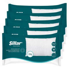 Универсальный картридж для поглотителя влаги Sillar 250 г - 5 шт. цена и информация | Осушители воздуха, влагопоглотители | 220.lv