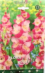 Гладиолус Apricot Bublegum, 10 шт. цена и информация | Луковичные цветы | 220.lv