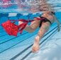 Izpletnis peldēšanai ar jostu Finis, 30 cm cena un informācija | Citi peldēšanas piederumi | 220.lv