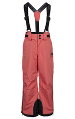 Лыжные брюки для девочек Trespass UCBTSKTR0001-PBH, розовые цена и информация | Зимняя одежда для детей | 220.lv