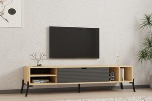 TV galdiņš Asir, 160x36x40 cm, bēšs/pelēks cena un informācija | TV galdiņi | 220.lv