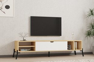 TV galdiņš Asir, 160x36x40 cm, bēšs/balts cena un informācija | TV galdiņi | 220.lv