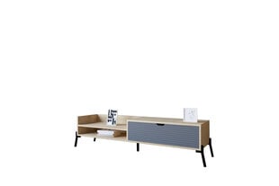 TV galdiņš Asir, 160x36x40 cm, brūns/pelēks cena un informācija | TV galdiņi | 220.lv