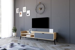 TV galdiņš Asir, 160x36x40 cm, brūns/pelēks cena un informācija | TV galdiņi | 220.lv