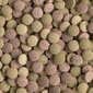 Barība bentiskajām zivīm Tetra Tablets TabiMin XL, 157 g цена и информация | Zivju barība | 220.lv