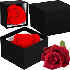 Вечная роза Springos цена и информация | Спящие стабилизированные розы, растения | 220.lv