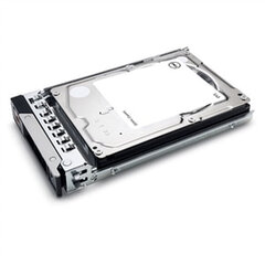Жесткий диск Dell 400-ATJL цена и информация | Внутренние жёсткие диски (HDD, SSD, Hybrid) | 220.lv