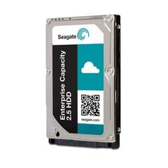 Seagate Exos 7E2000 ST2000NX0343 цена и информация | Внутренние жёсткие диски (HDD, SSD, Hybrid) | 220.lv