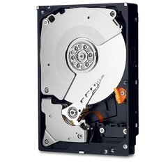 WD WD4005FZBX HDD cena un informācija | Iekšējie cietie diski (HDD, SSD, Hybrid) | 220.lv