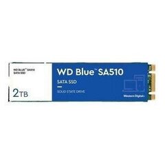 Western Digital WDS200T3B0B цена и информация | Внутренние жёсткие диски (HDD, SSD, Hybrid) | 220.lv