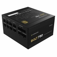 Forgeon Bolt 750 цена и информация | Блоки питания (PSU) | 220.lv