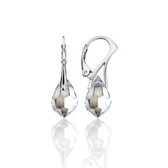 Серебряные серьги женские с кристаллами, I.L.U.S цена и информация | Серьги | 220.lv