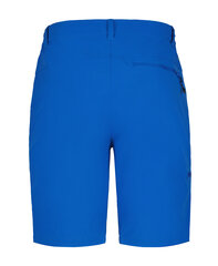 Шорты мужские Icepeak BERWYN, синий цвет цена и информация | Мужские шорты | 220.lv