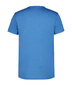 Icepeak vīriešu T-krekls BEARDEN, zils cena un informācija | Vīriešu T-krekli | 220.lv