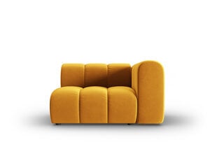 Atpūtas krēsls Windsor & Co Cassini, dzeltens цена и информация | Кресла в гостиную | 220.lv