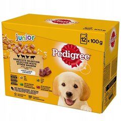 Pedigree Junior suņiem, ar rīsiem, 48x100 g cena un informācija | Konservi suņiem | 220.lv