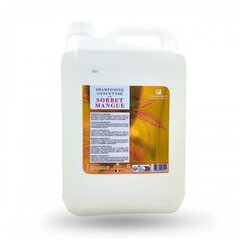 Šampūns - koncentrāts Fauvert, ar mango, 5000 ml cena un informācija | Šampūni | 220.lv