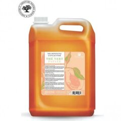 Koncentrēts šampūns Fauvert ar papaiju, 5000 ml cena un informācija | Šampūni | 220.lv