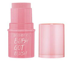 Skaistalai Essence Baby Got Blush, 10 оттенков Tickle Me Pink, 5,5 г цена и информация | Бронзеры (бронзаторы), румяна | 220.lv