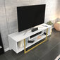 TV statīvs, Asir, 120x35,2x40,2 cm, balts/zelts cena un informācija | TV galdiņi | 220.lv