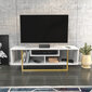 TV statīvs, Asir, 120x35,2x40,2 cm, balts/zelts цена и информация | TV galdiņi | 220.lv