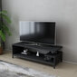 TV statīvs, Asir, 120x44,6x37,6 cm, pelēks/melns cena un informācija | TV galdiņi | 220.lv