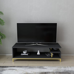 TV statīvs, Asir, 120x44,6x37,6 cm, zelts/pelēks cena un informācija | TV galdiņi | 220.lv