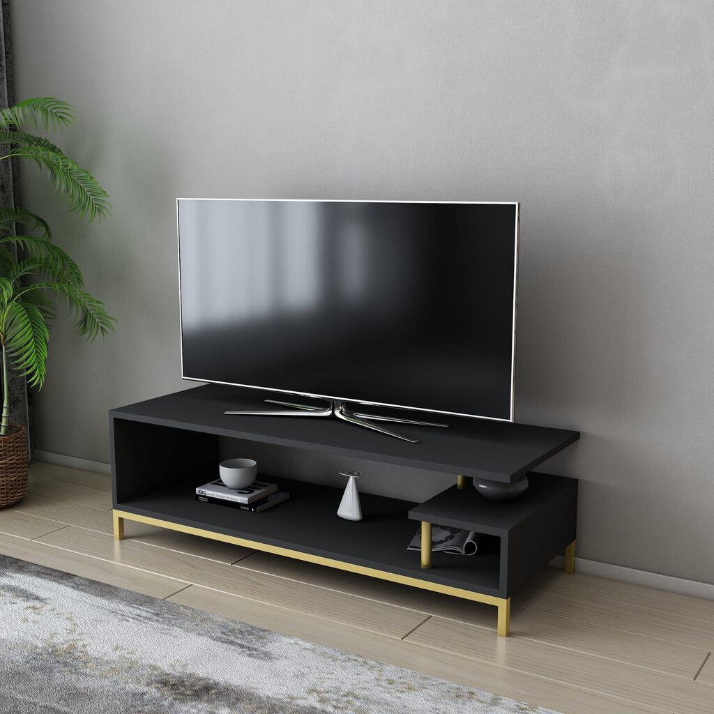 TV statīvs, Asir, 120x44,6x37,6 cm, zelts/pelēks cena un informācija | TV galdiņi | 220.lv