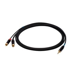 SSQ mini jack - 2x rca, 1 m cena un informācija | Kabeļi un vadi | 220.lv