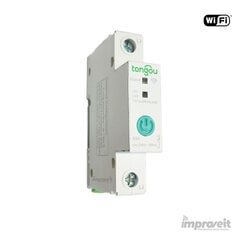 Умный 1-канальный переключатель WIFI 63A Sonoff HS081973 цена и информация | Системы безопасности, контроллеры | 220.lv