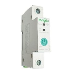 Умный 1-канальный переключатель WIFI 63A Sonoff HS081973 цена и информация | Системы безопасности, контроллеры | 220.lv
