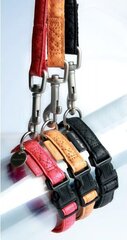 Pavada suņiem Zolux Mac Leather, 15 mm/1.2 m, sarkana cena un informācija | Suņu pavadas | 220.lv