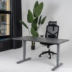 Regulējams galds Ergostock Forza line 120x65 Anthracite / Anthracite cena un informācija | Datorgaldi, rakstāmgaldi, biroja galdi | 220.lv