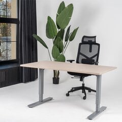 Регулируемый стол Ergostock Forza line, 120x65 см, цвета нубука/цвета антрацита цена и информация | Компьютерные, письменные столы | 220.lv