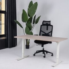Регулируемый стол Ergostock Forza line, 120x65 см, цвета нубука/белый цена и информация | Компьютерные, письменные столы | 220.lv