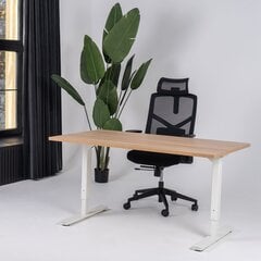 Regulējams galds Ergostock Forza line 120x65 Oak / White cena un informācija | Datorgaldi, rakstāmgaldi, biroja galdi | 220.lv