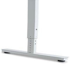 Regulējams galds Ergostock Forza line 120x65 White / White cena un informācija | Datorgaldi, rakstāmgaldi, biroja galdi | 220.lv