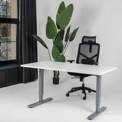 Регулируемый стол Ergostock Forza line, 120x80 см, белый/цвета антрацита цена и информация | Компьютерные, письменные столы | 220.lv