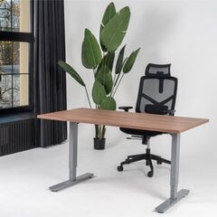 Регулируемый стол Ergostock Forza line, 140x80 см, цвета ореха/цвета антрацита цена и информация | Компьютерные, письменные столы | 220.lv