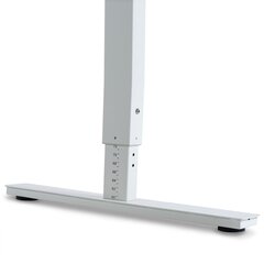 Regulējams galds Ergostock Forza line 140x80 White / White цена и информация | Компьютерные, письменные столы | 220.lv