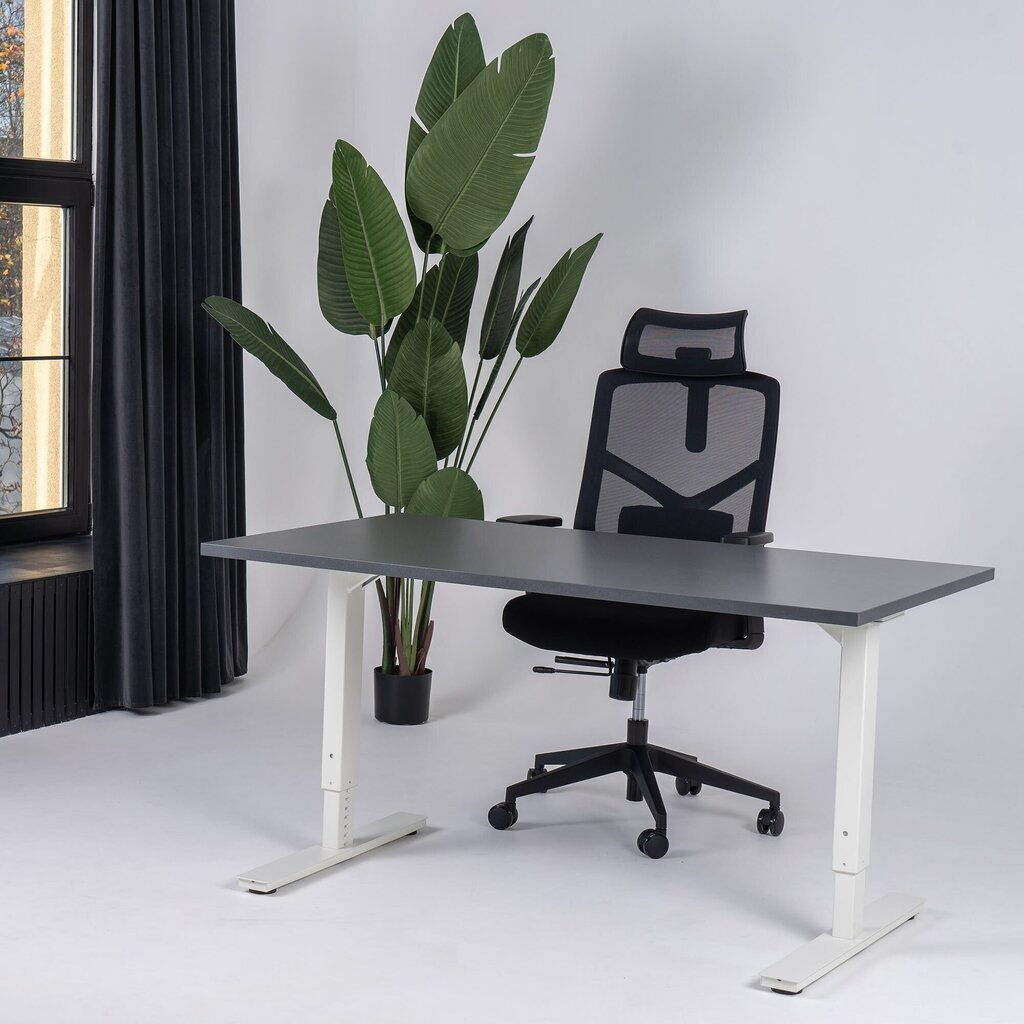 Regulējams galds Ergostock Forza line 160x80 Anthracite / White cena un informācija | Datorgaldi, rakstāmgaldi, biroja galdi | 220.lv