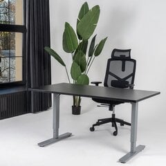 Регулируемый стол Ergostock Forza line, 160x80 см, черный/цвета антрацита цена и информация | Компьютерные, письменные столы | 220.lv