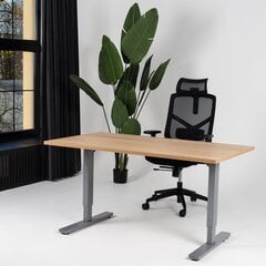 Regulējams galds Ergostock Forza line 180x80 Oak / Anthracite cena un informācija | Datorgaldi, rakstāmgaldi, biroja galdi | 220.lv