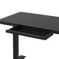 Regulējams galds Ergostock Home 120x60 Black cena un informācija | Datorgaldi, rakstāmgaldi, biroja galdi | 220.lv