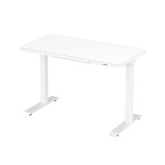 Regulējams galds Ergostock Home 120x60 white цена и информация | Компьютерные, письменные столы | 220.lv