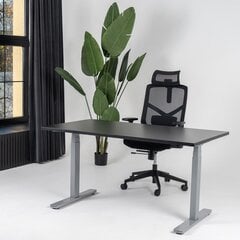 Regulējams galds Ergostock Prestige line 120x65 Black / Anthracite cena un informācija | Datorgaldi, rakstāmgaldi, biroja galdi | 220.lv