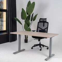 Регулируемый стол Ergostock Prestige line, 120x65 см, цвета нубука/цвета антрацита цена и информация | Компьютерные, письменные столы | 220.lv