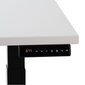 Regulējams galds Ergostock Prestige line 120x65 Wallnut / Anthracite cena un informācija | Datorgaldi, rakstāmgaldi, biroja galdi | 220.lv