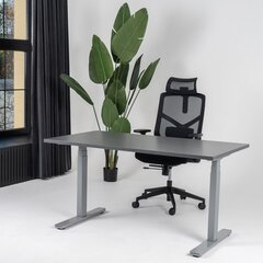 Регулируемый стол Ergostock Prestige line, 140x80 см, цвета антрацита цена и информация | Компьютерные, письменные столы | 220.lv